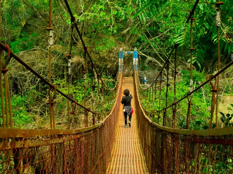 Safaar Special Package